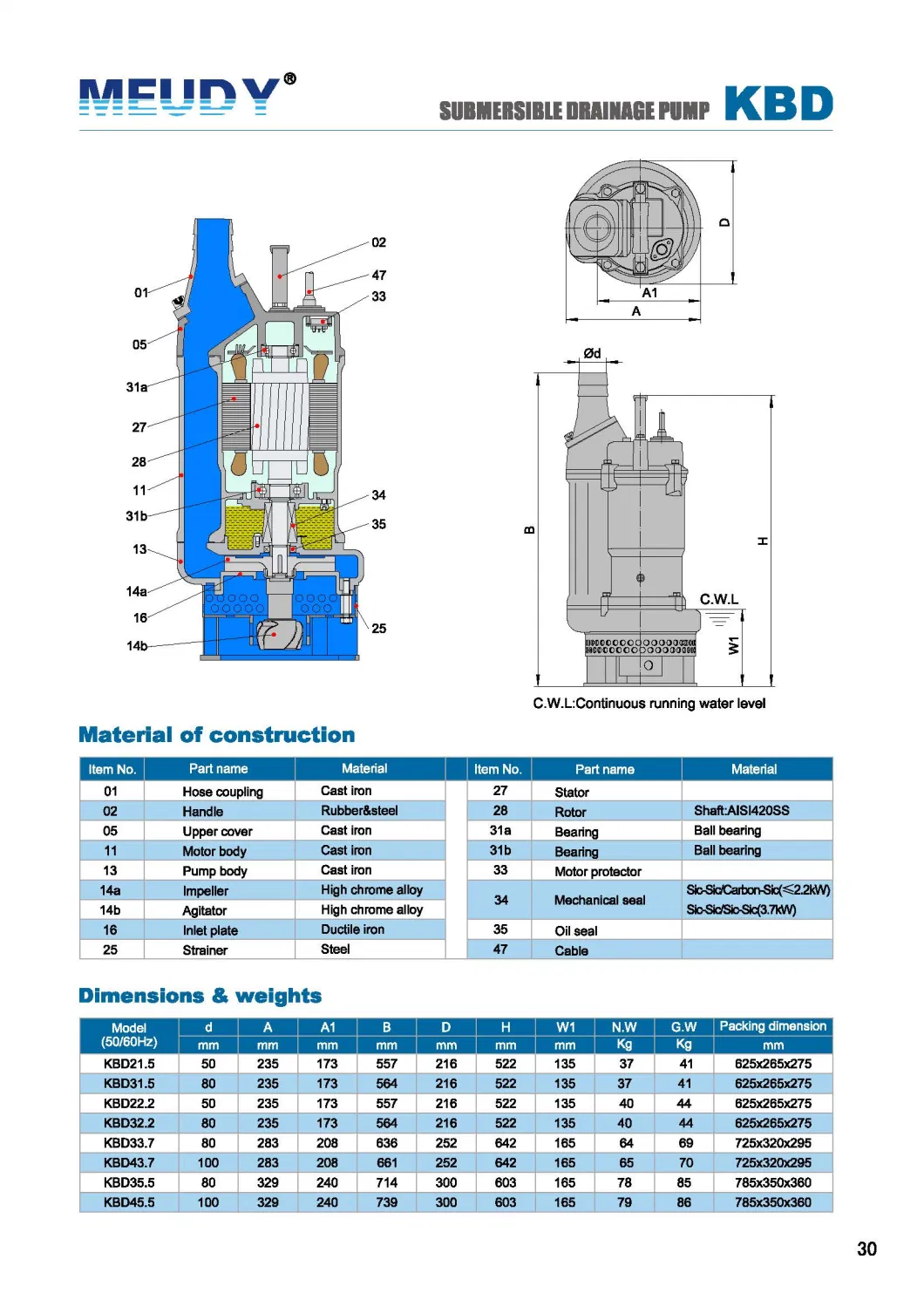 Superior Designed Submersible Slurry Pump with Agitator